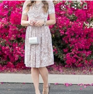LuLaRoe Elegant Amelia crushed velvet dress